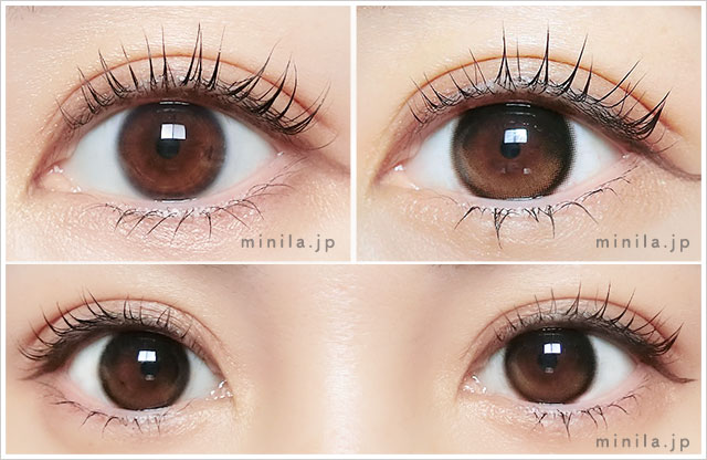 ブラウンデューレポ装着画像正面