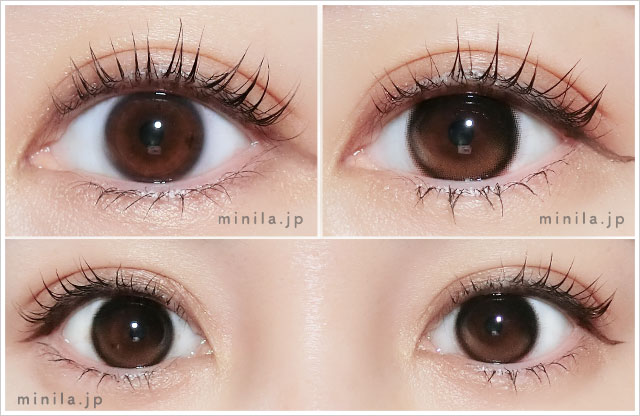 ブラウンデューレポ装着画像正面