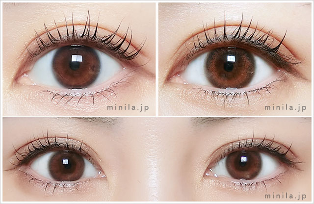 トワイライト装着画像正面