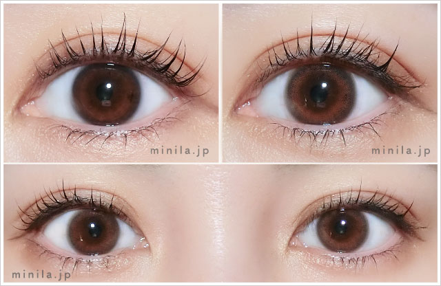 トワイライトレポ装着画像正面