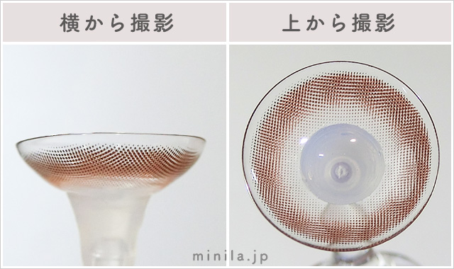 ハーヴェストリング(1ヶ月)レポレンズ写真横と上から