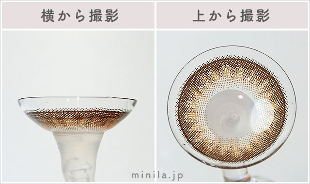 チェスナットレポレンズ写真横と上から