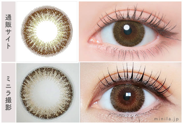 マッチャタルトレポ装着画像通販サイトと比較