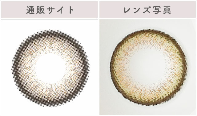 褒められパンダ(ライトカーキブラウン)レポレンズ写真通販サイトと比較