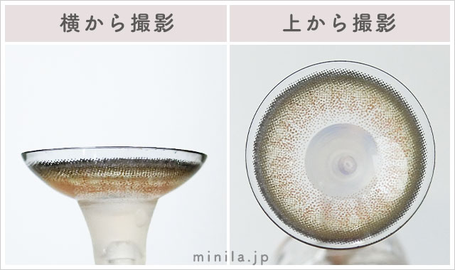 褒められパンダ(ライトカーキブラウン)レポレンズ写真横と上から