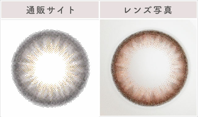 うるうるチワワ(モカダークブラウン)レポレンズ写真通販サイトと比較