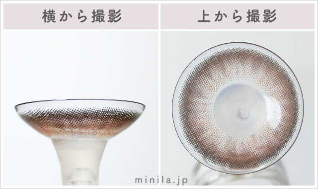 うるうるチワワ(モカダークブラウン)レポレンズ写真横と上から