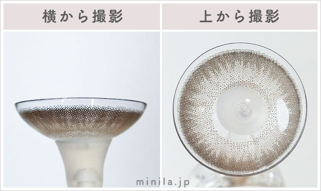 ぽんぽこたぬき(パールライトブラウン)レポレンズ写真横と上から