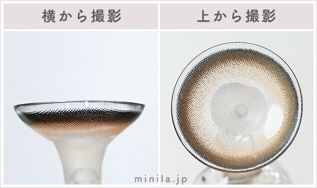 もふもふハムスター(リングオレンジブラウン)レポレンズ写真横と上から