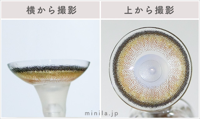 もっと褒められパンダ(マンスリー)レポレンズ写真横と上から