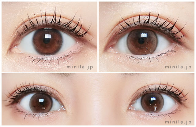 デューイクリスティン ブラウンレポ装着画像正面