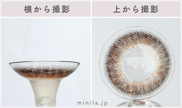 ハンバーグブラウンレポレンズ写真横と上から