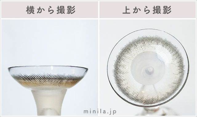 納豆ブラウンレポレンズ写真横と上から