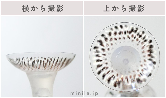 ベリーゼリーベリーレポレンズ写真横と上から