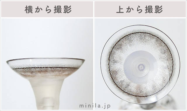 シェルラッコ(ワンデー)レポレンズ写真横と上から