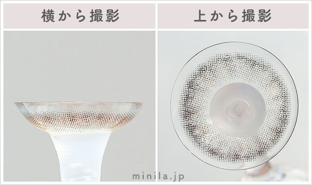 くらげ(1ヶ月)レポレンズ写真横と上から