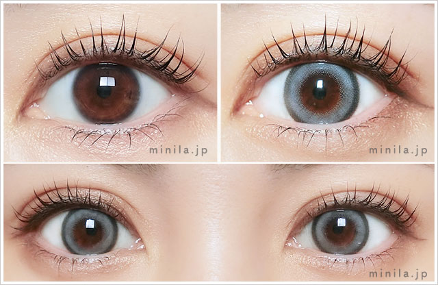 シベリアンブルーレポ装着画像正面