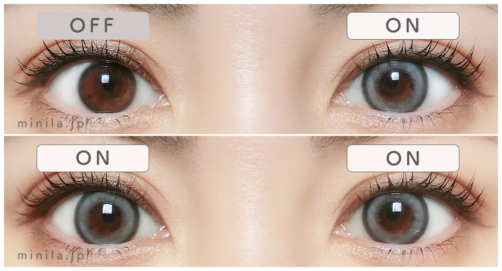 シベリアンブルーレポ装着画像両目