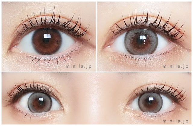 シベリアングレーレポ装着画像正面