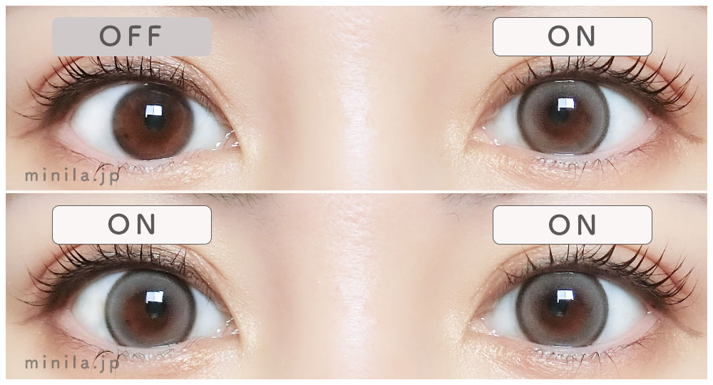 シベリアングレーレポ装着画像両目