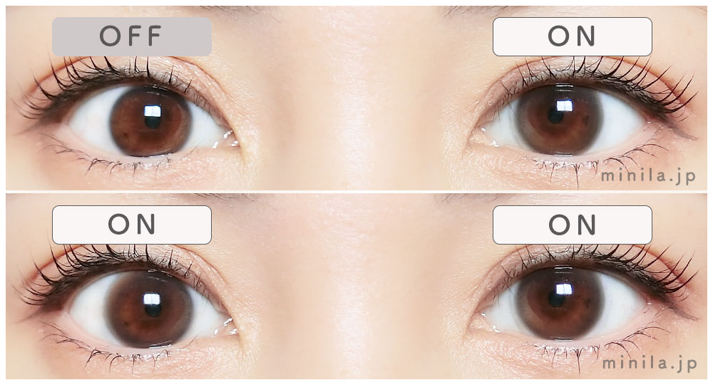 ヌイブラウンレポ装着画像両目