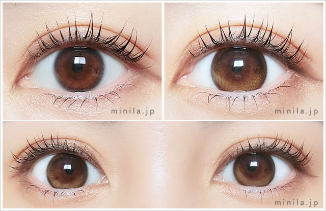 リアリーブラウンレポ装着画像正面